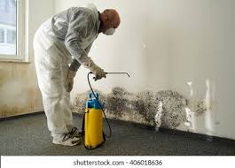 Best Emergency Mold Remediation  in Whitefish Bay, WI